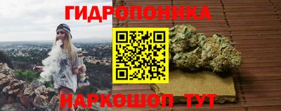 mix Кингисепп
