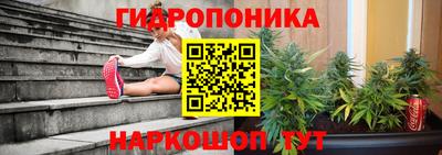 mix Кингисепп